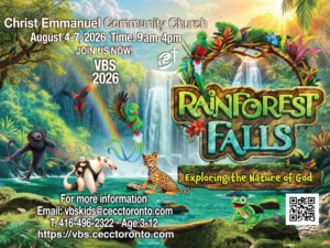 Rainforest Falls vacation Bible School