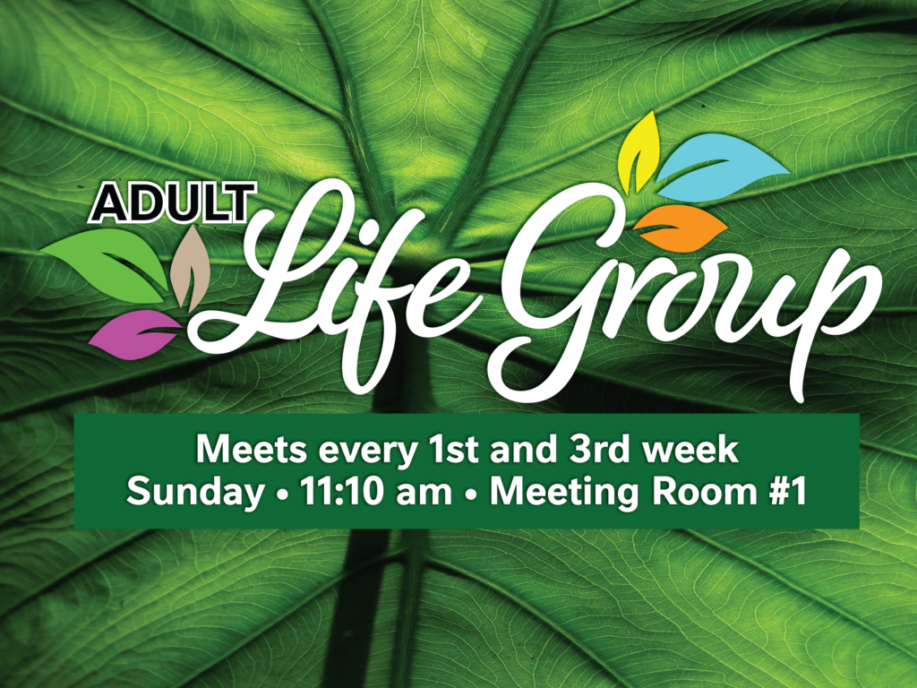 Adult life group fellowship every first and third Sunday 11am
